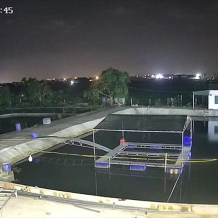 Camera IP Seetong dome 4.0MP Trong nhà Có POE Có Mic-Onvif- Smart AI nhận diện chuyển động